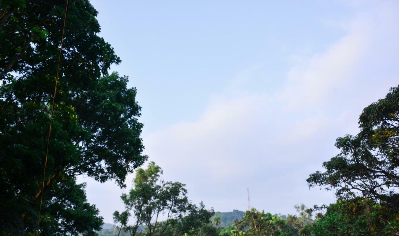Ceylon Saradiel Home Stay Mawanella Eksteriør bilde